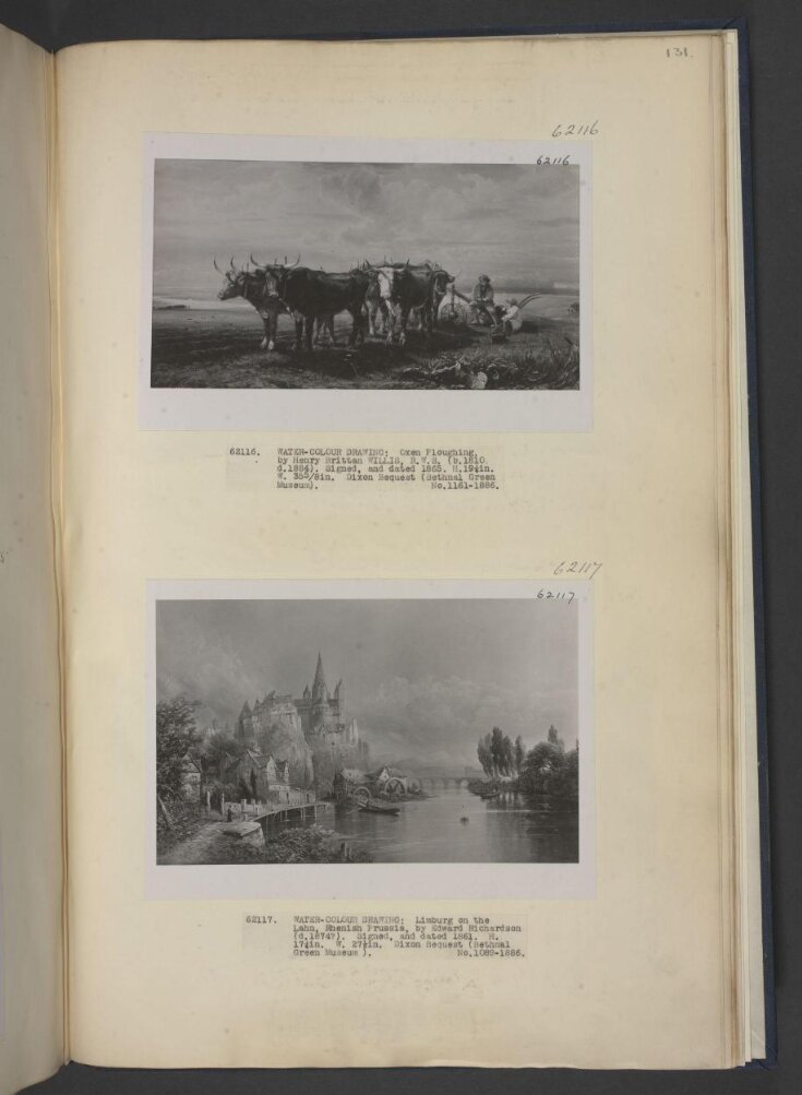 Oxen ploughing top image