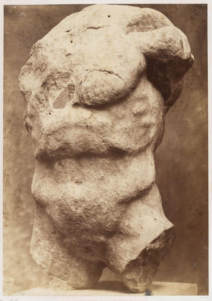 Torso of Cecrops image