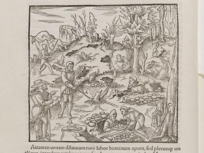 Georgii Agricolae De re metallica libri xii, qvibu officia,instrumenta, machinae, ac omnnia deniq[ue] ad metalicam spectantia, non modo lucluentissime describuntur, sed & per effigies, sius locis insertas, aduenctis latinis, germanicisq[ue] appelationibus ita ob oculos ponuntur, et clarius tradi non possint. Evisdem De aaimantibvs svbterraneis liber, ab autore recognitus: cum indicibus deuersis quicqiuid in opere tractatum est pulchré demonstrantibus