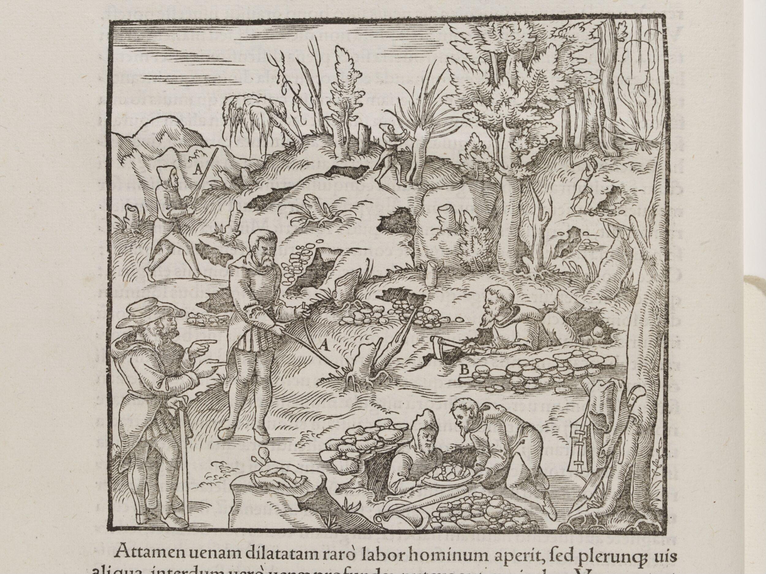 Georgii Agricolae De re metallica libri xii, qvibu officia,instrumenta, machinae, ac omnnia deniq[ue] ad metalicam spectantia, non modo lucluentissime describuntur, sed & per effigies, sius locis insertas, aduenctis latinis, germanicisq[ue] appelationibus ita ob oculos ponuntur, et clarius tradi non possint. Evisdem De aaimantibvs svbterraneis liber, ab autore recognitus: cum indicibus deuersis quicqiuid in opere tractatum est pulchré demonstrantibus