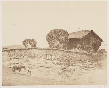 Abyssinia Expedition 1868-9