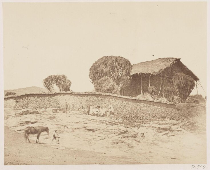 Abyssinia Expedition 1868-9 top image