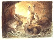 Four rabbits in a burrow thumbnail 1
