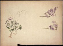 Violets and bluebells thumbnail 1