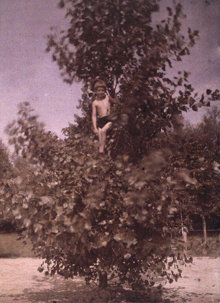 Heinz Paneth in a Tree top image