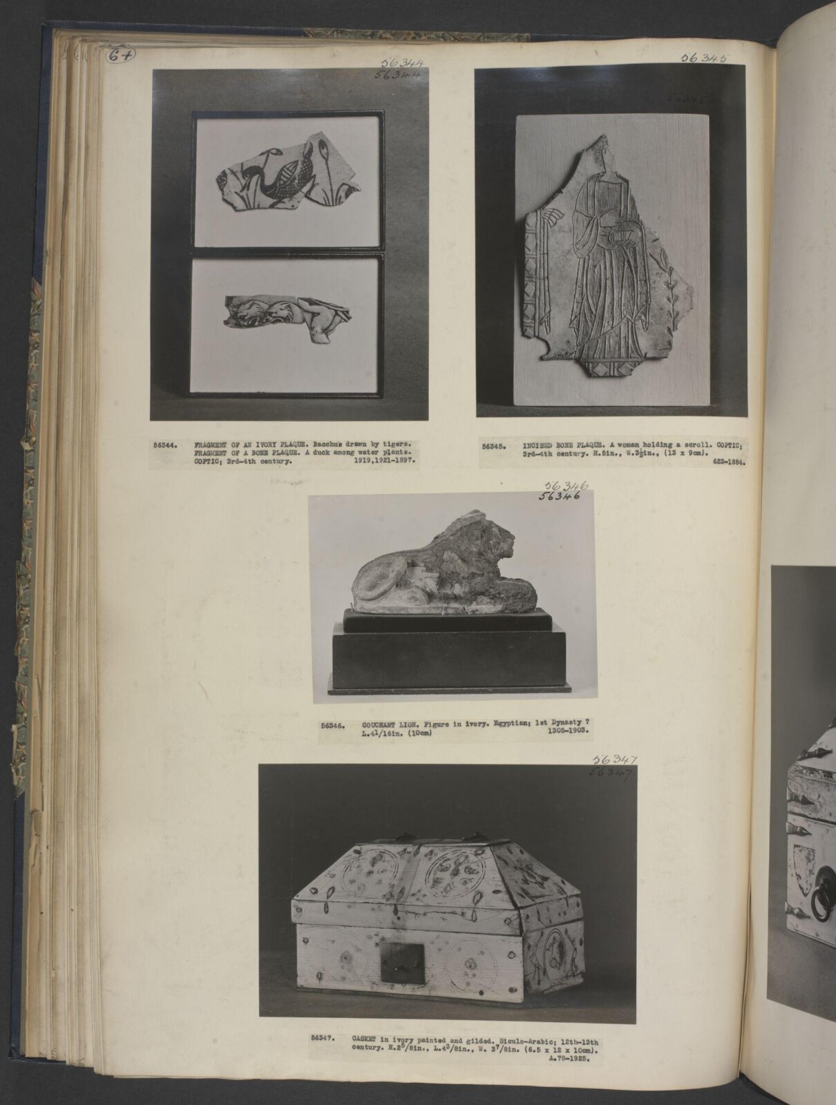 A Couchant Lion, 3238 BC-2720 BC