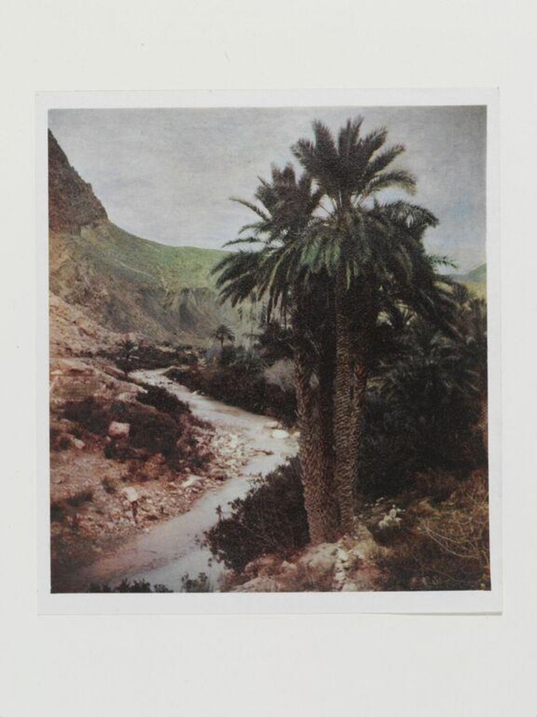 Warburg, Agnes Beatrice, El Kantara, early morning