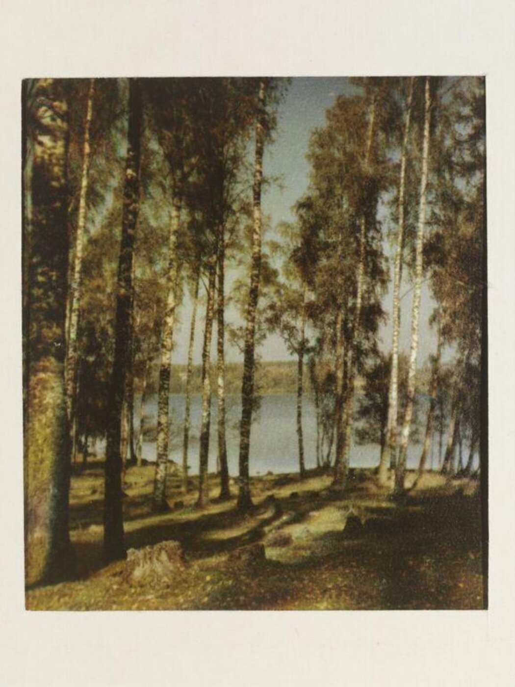 Warburg, Agnes Beatrice, Autumn by the lake, Gudhammar, Sweden