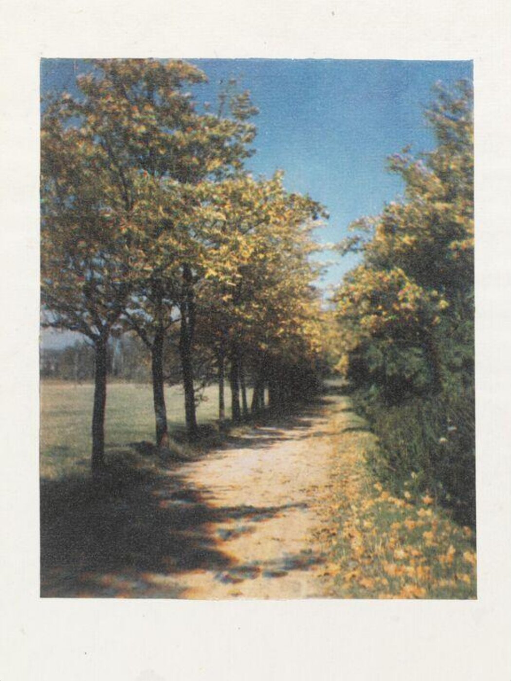 Warburg, Agnes Beatrice, Country Lane