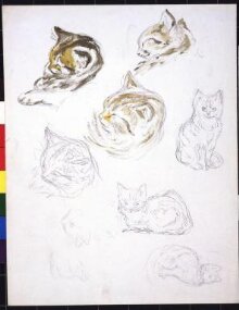 Studies of cats thumbnail 1