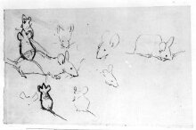 Studies of mice thumbnail 1
