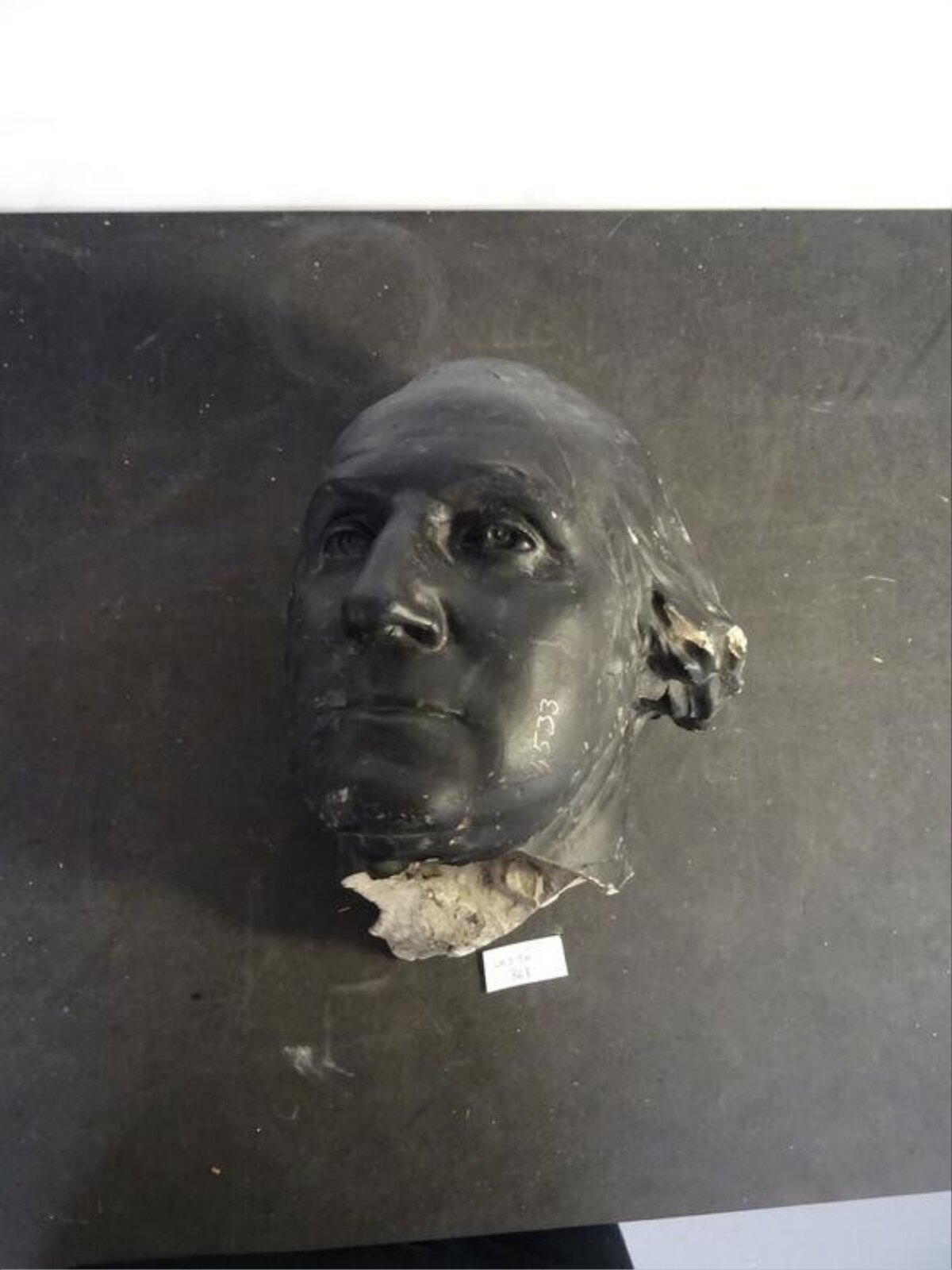 Bust