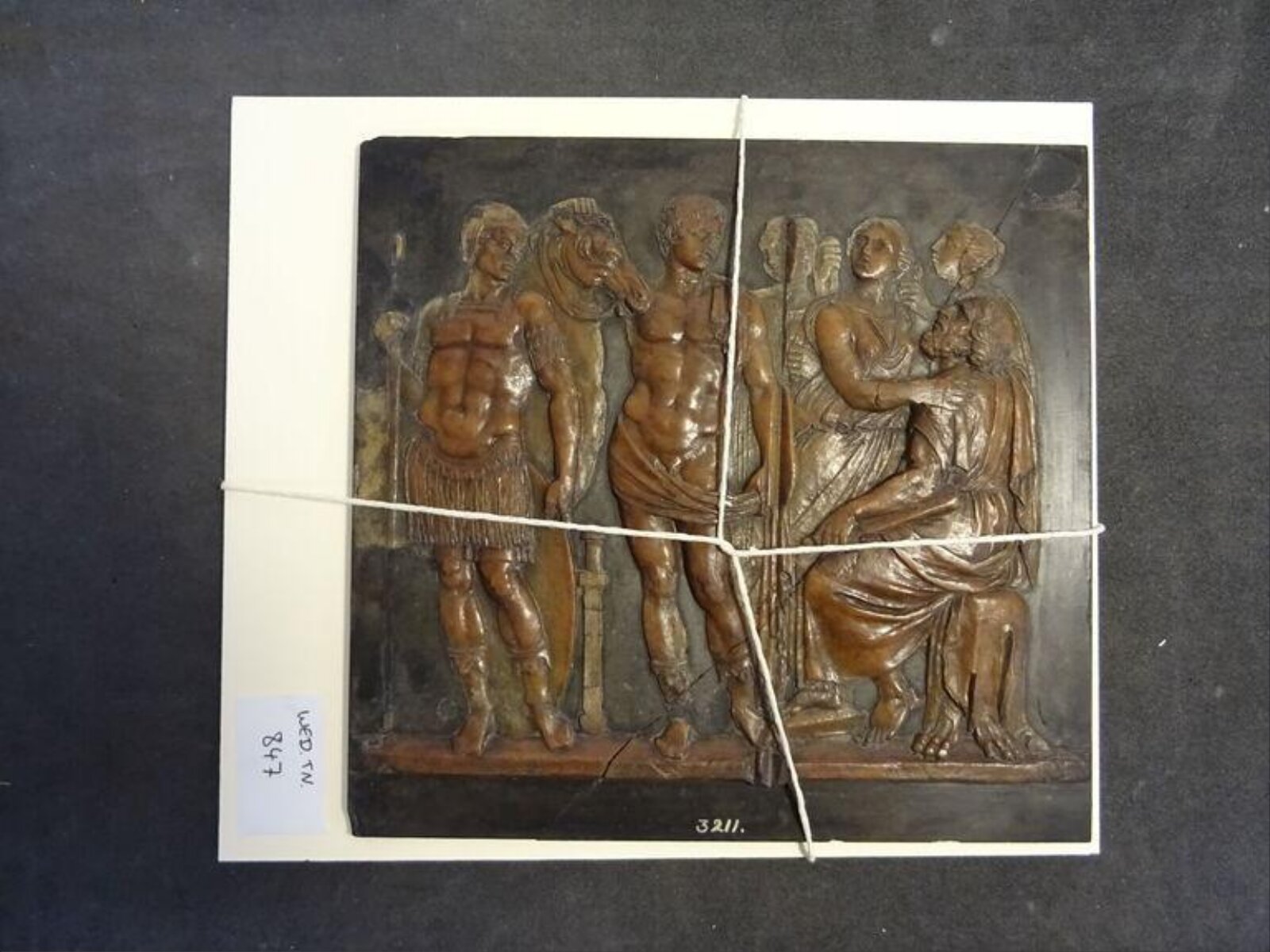 Wax model