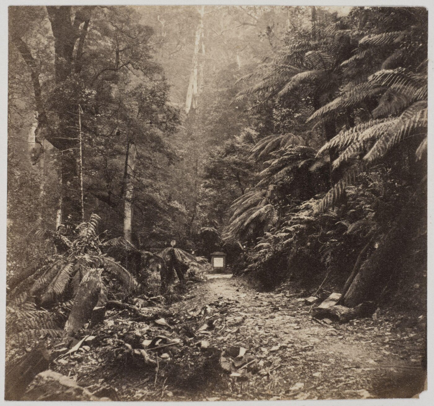 unknown, Photograph