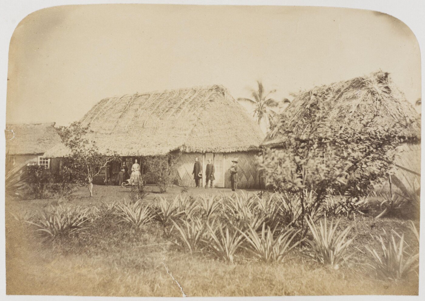 Kerr, Henry, Photograph