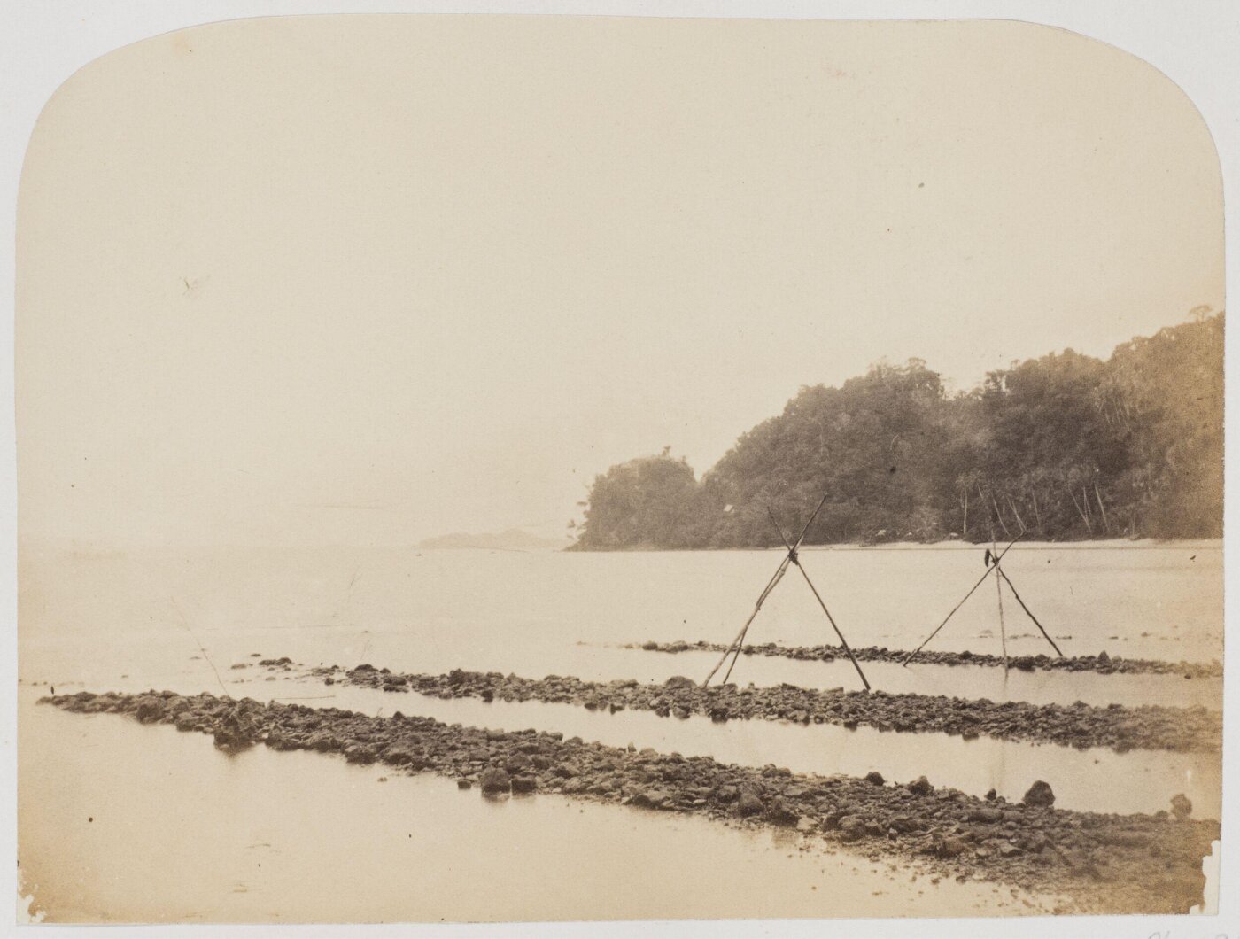 Kerr, Henry, Photograph