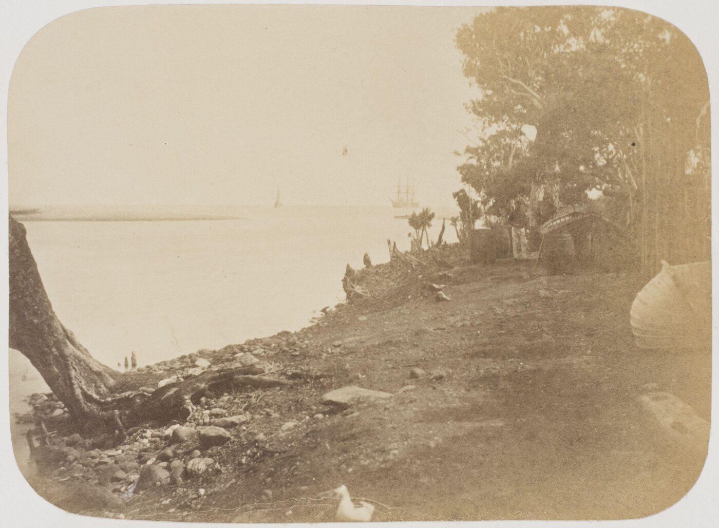 Kerr, Henry, Photograph