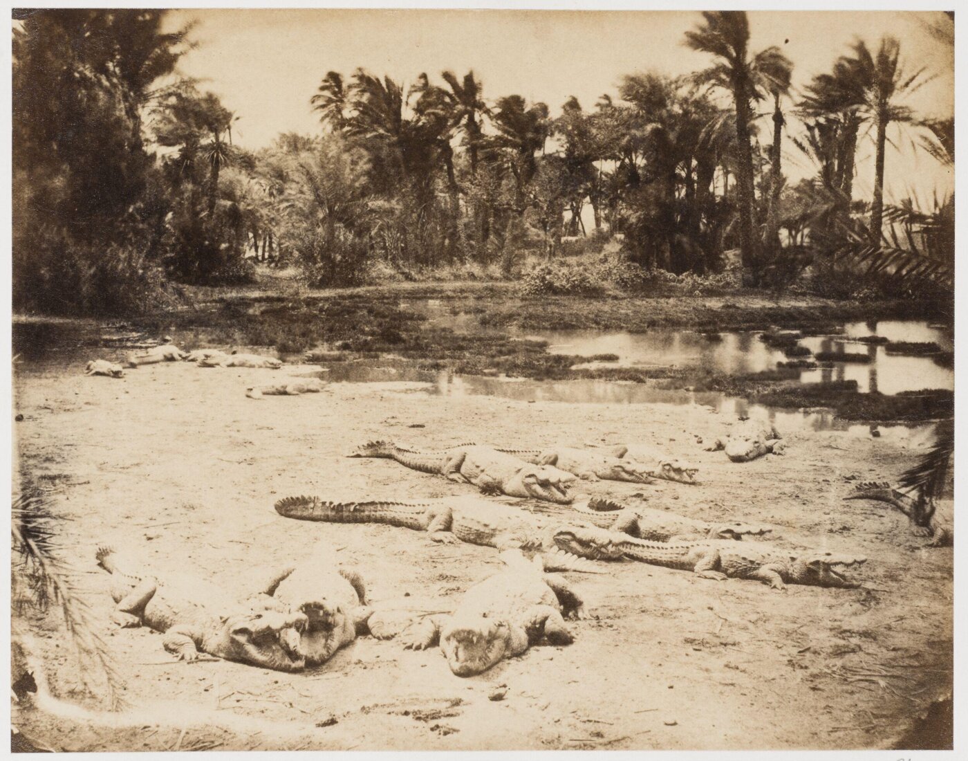 unknown, Photograph