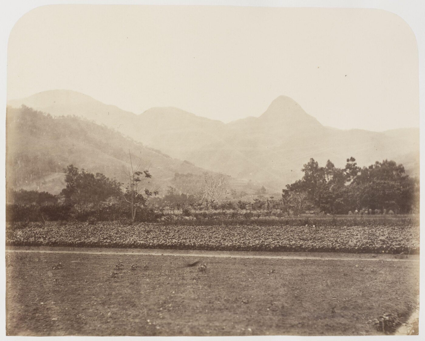Kerr, Henry, Photograph