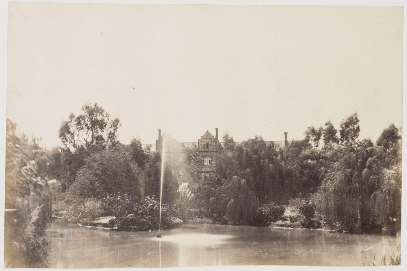 unknown, Photograph