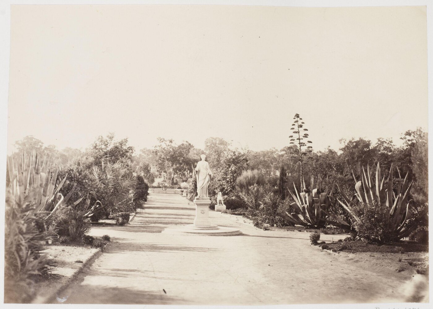 unknown, Photograph