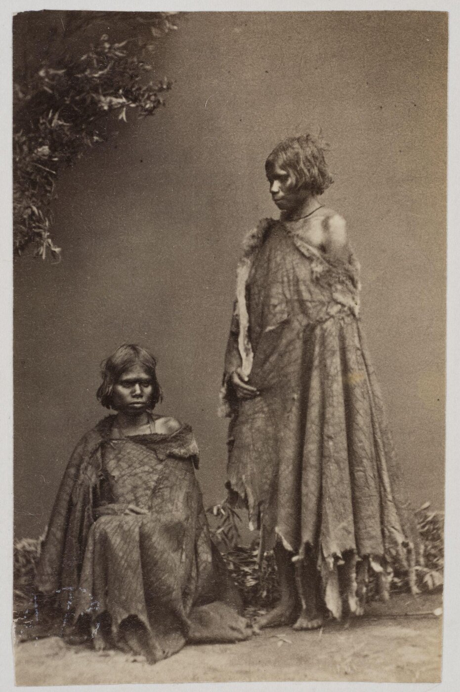 unknown, Photograph