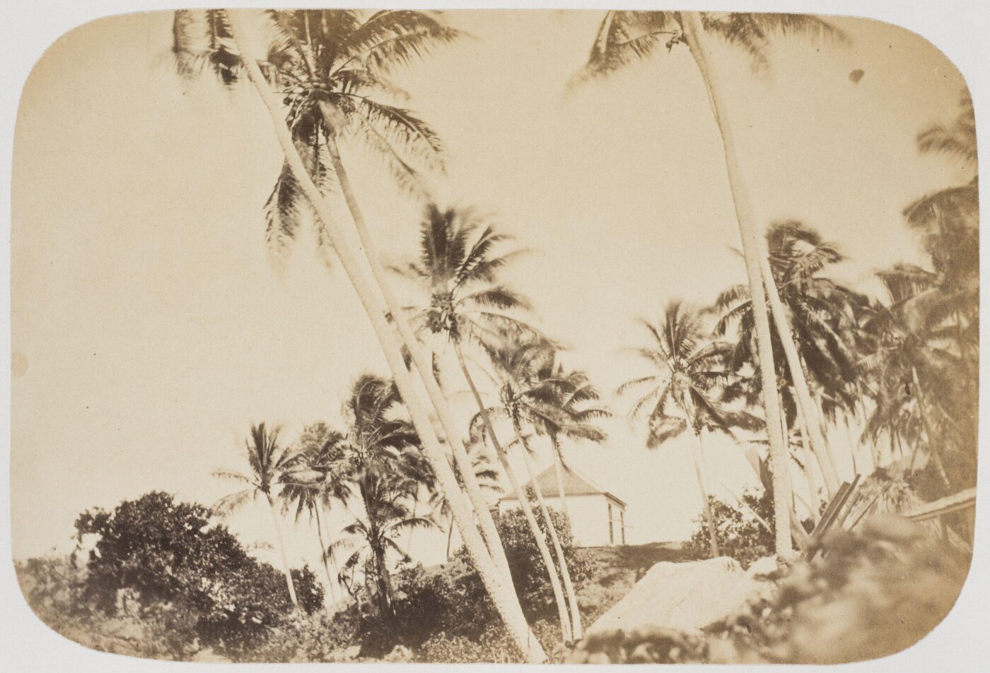 Kerr, Henry, Photograph