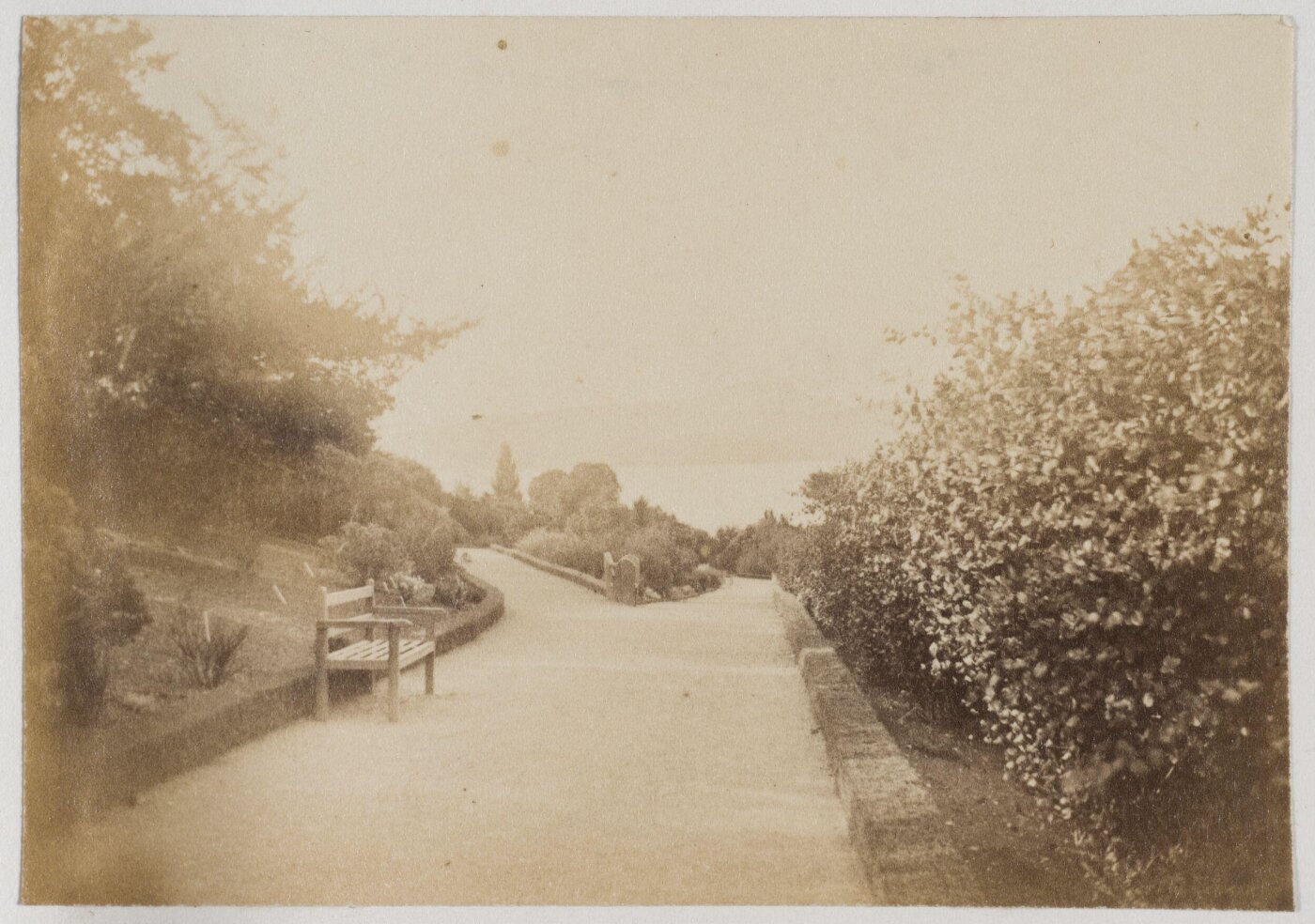 Unknown, Photograph