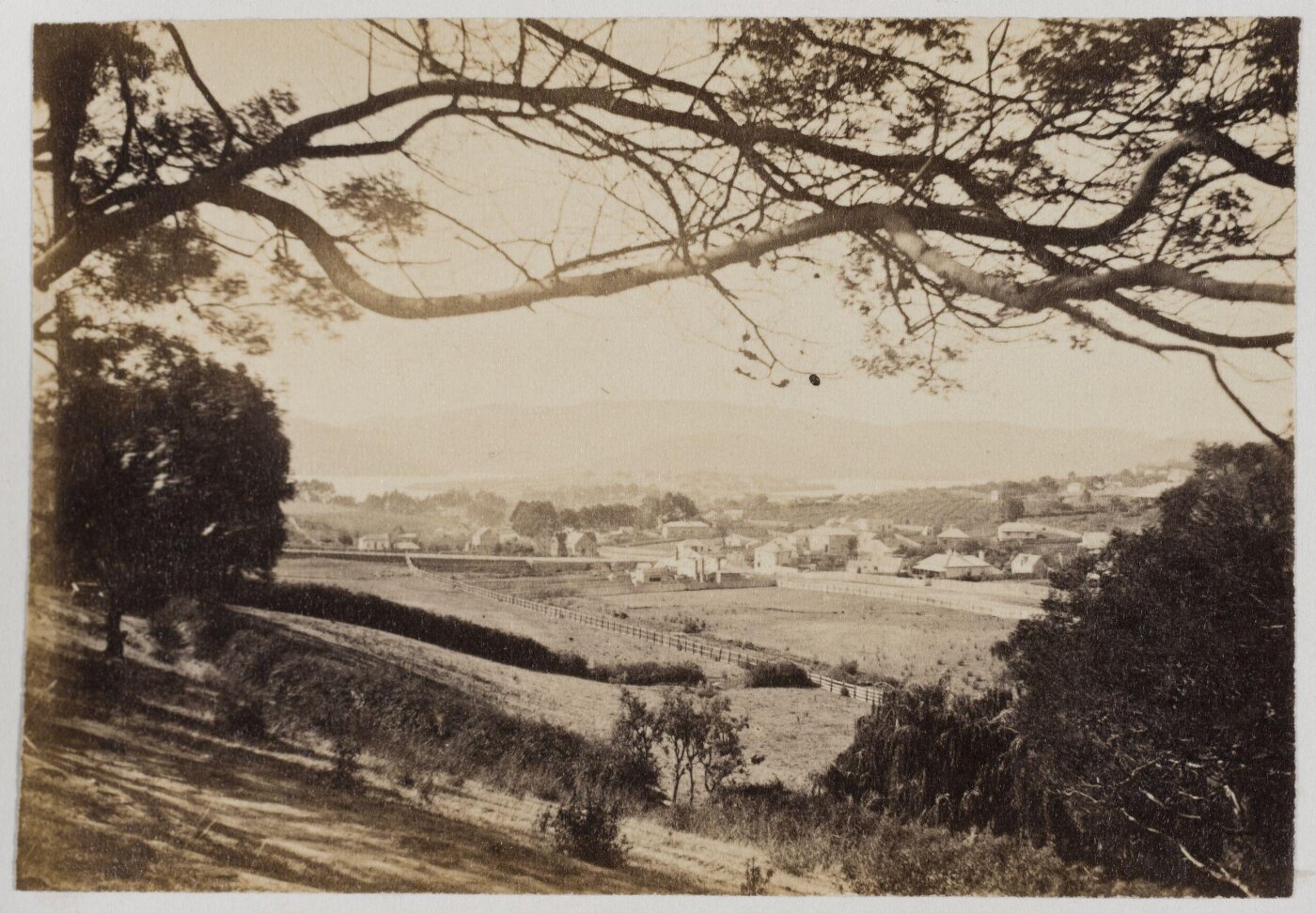 Unknown, Photograph