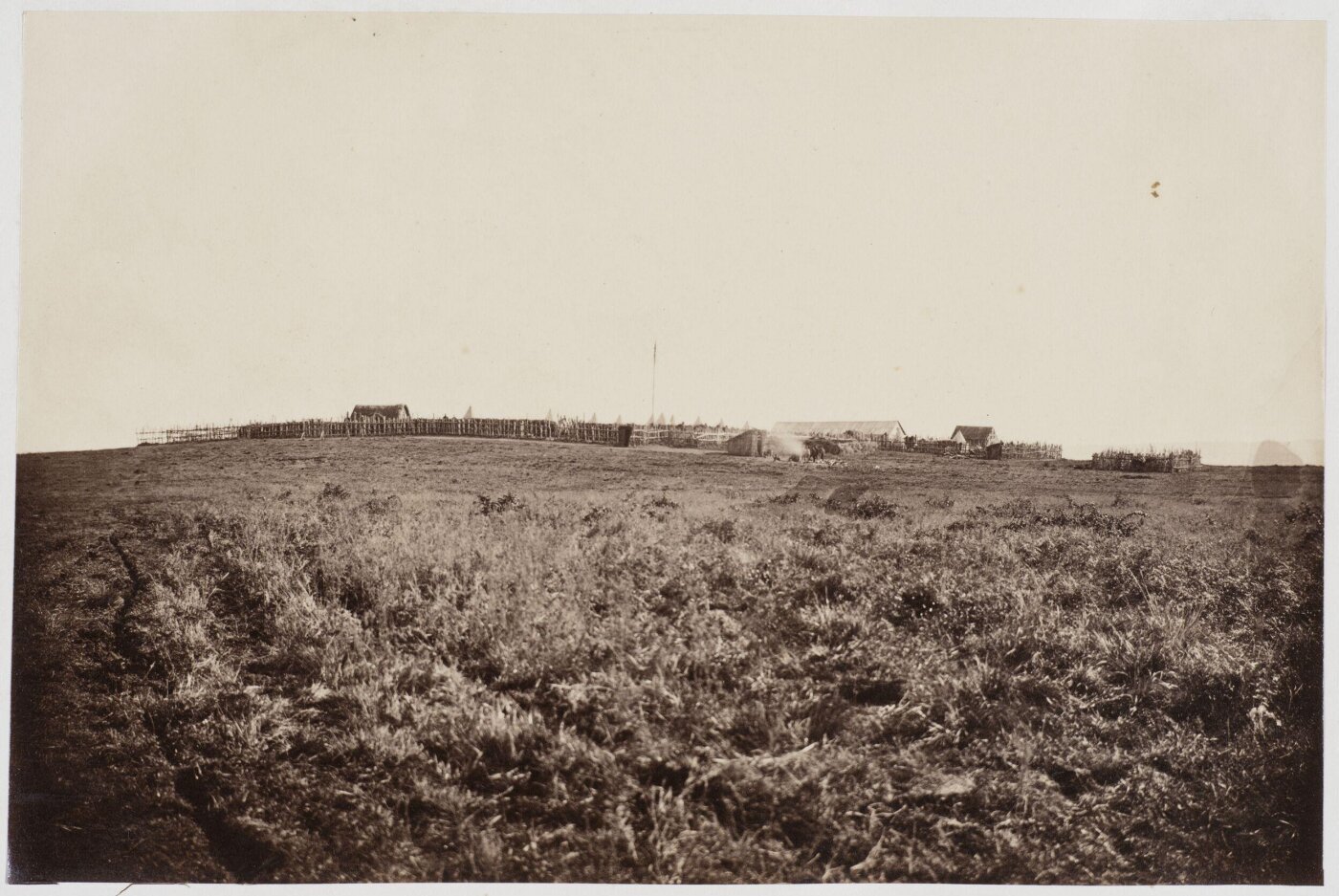 Unknown, Photograph