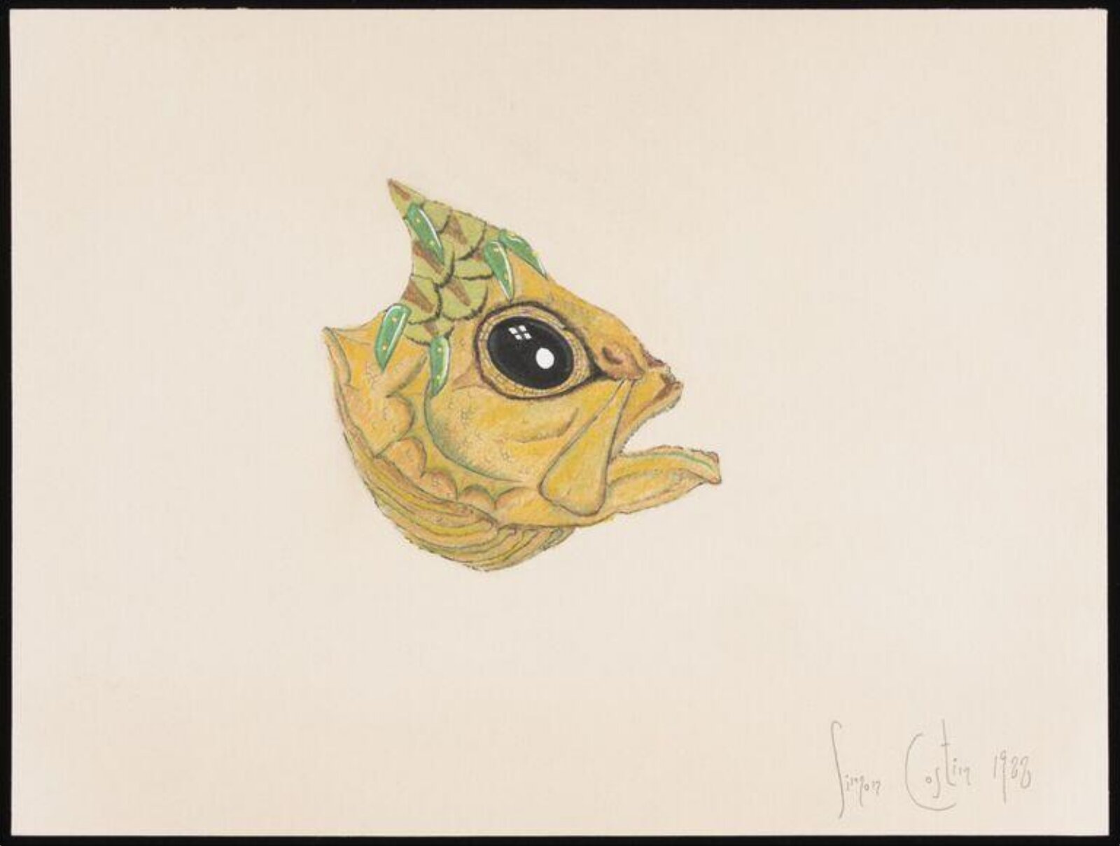 Fish head with green tinge, Simon Costin, 1988