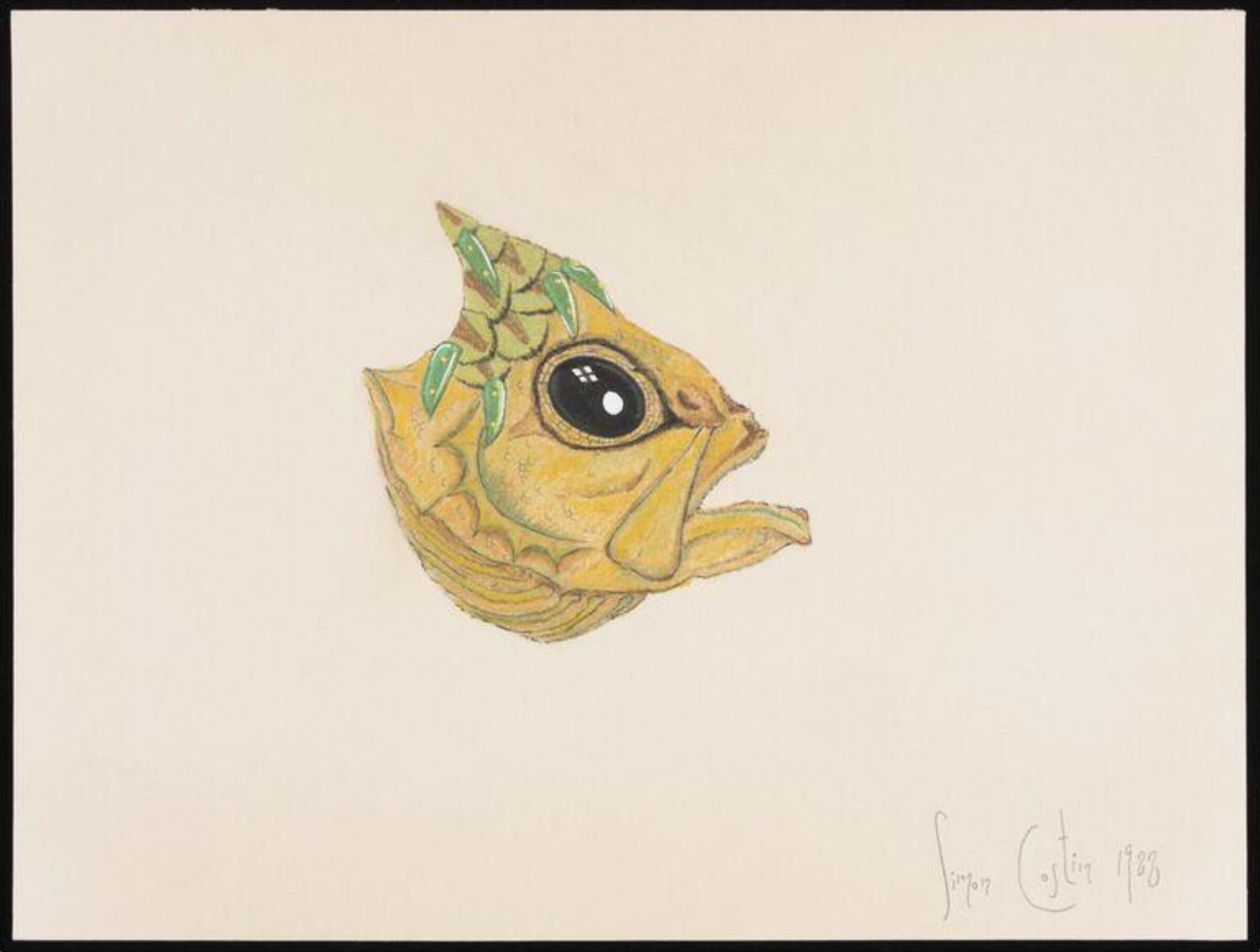 Fish head with green tinge, Simon Costin, 1988