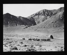 Slide 40. The expedition approaching Shekar Dzong thumbnail 1