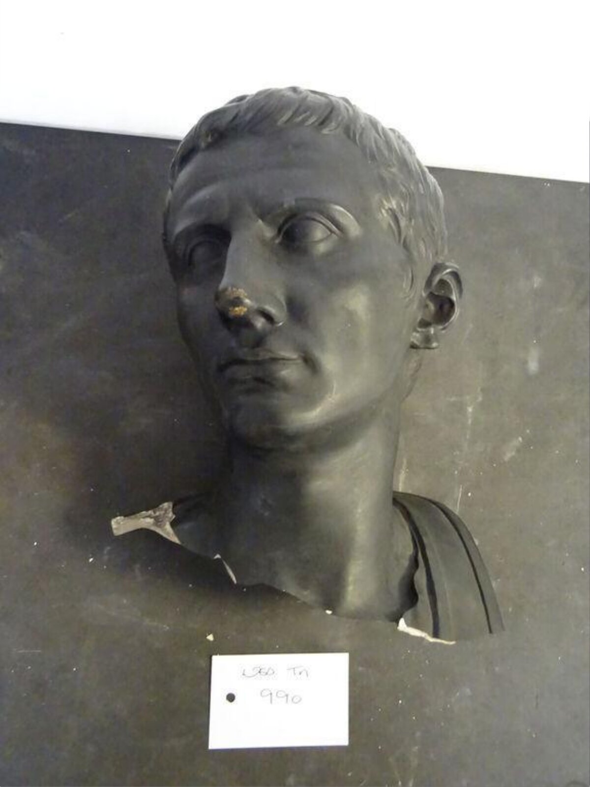 Bust