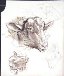 Studies of a sheep's head thumbnail 1