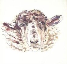 Study of a sheep's head thumbnail 1