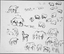 Studies of sheep and horses thumbnail 1