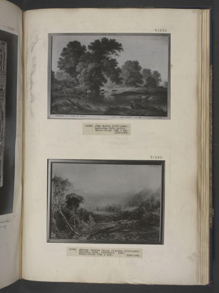 Landscape with cattle top image