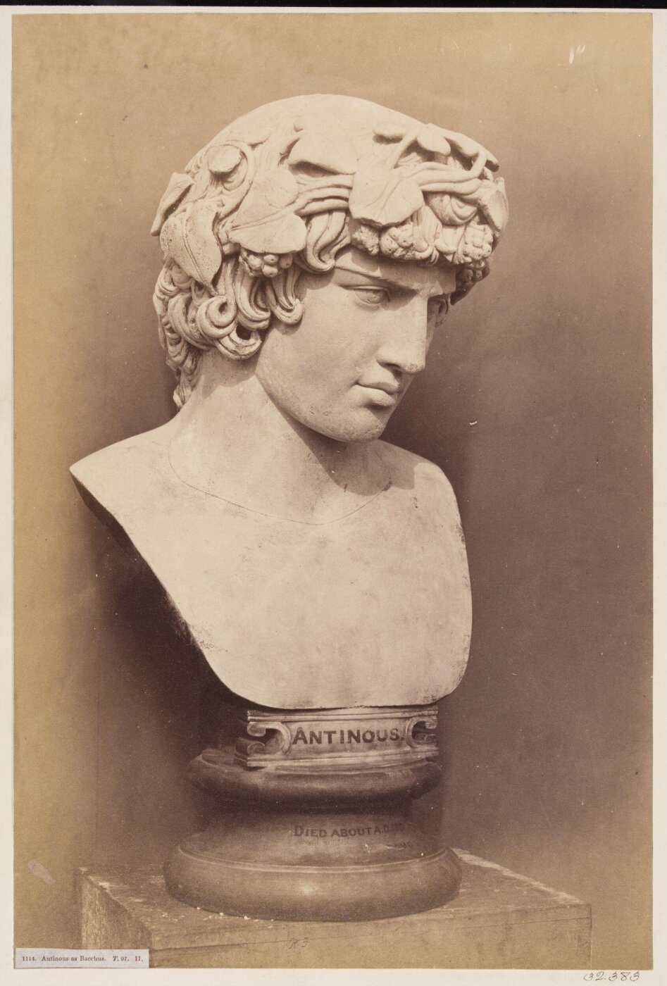 Fenton, Roger, Antinous as Bacchus