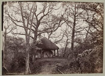 Mulgrave Woods, Yorkshire