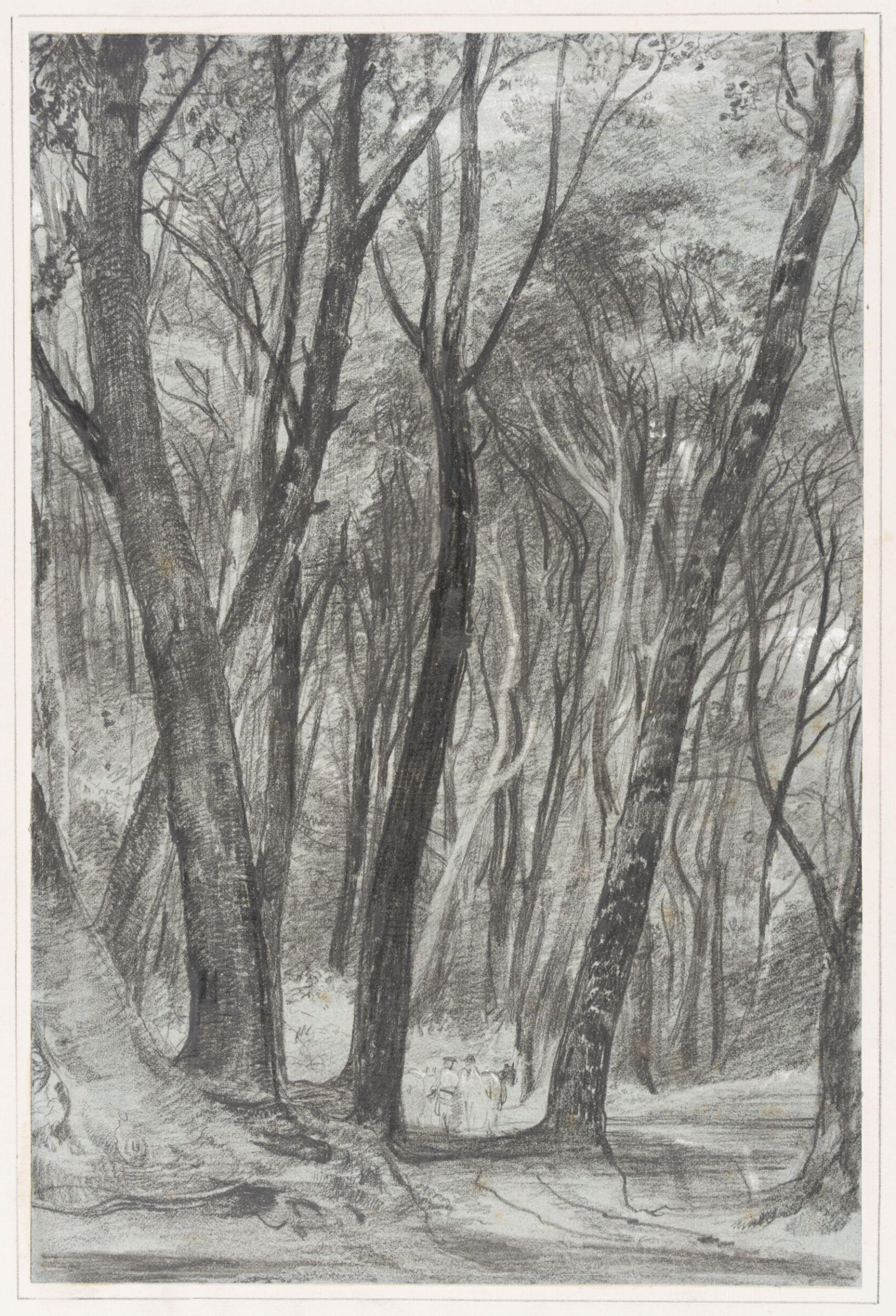 Study of trees, Wotton Woods, Abinger, Richard Redgrave, ca. mid 19th century