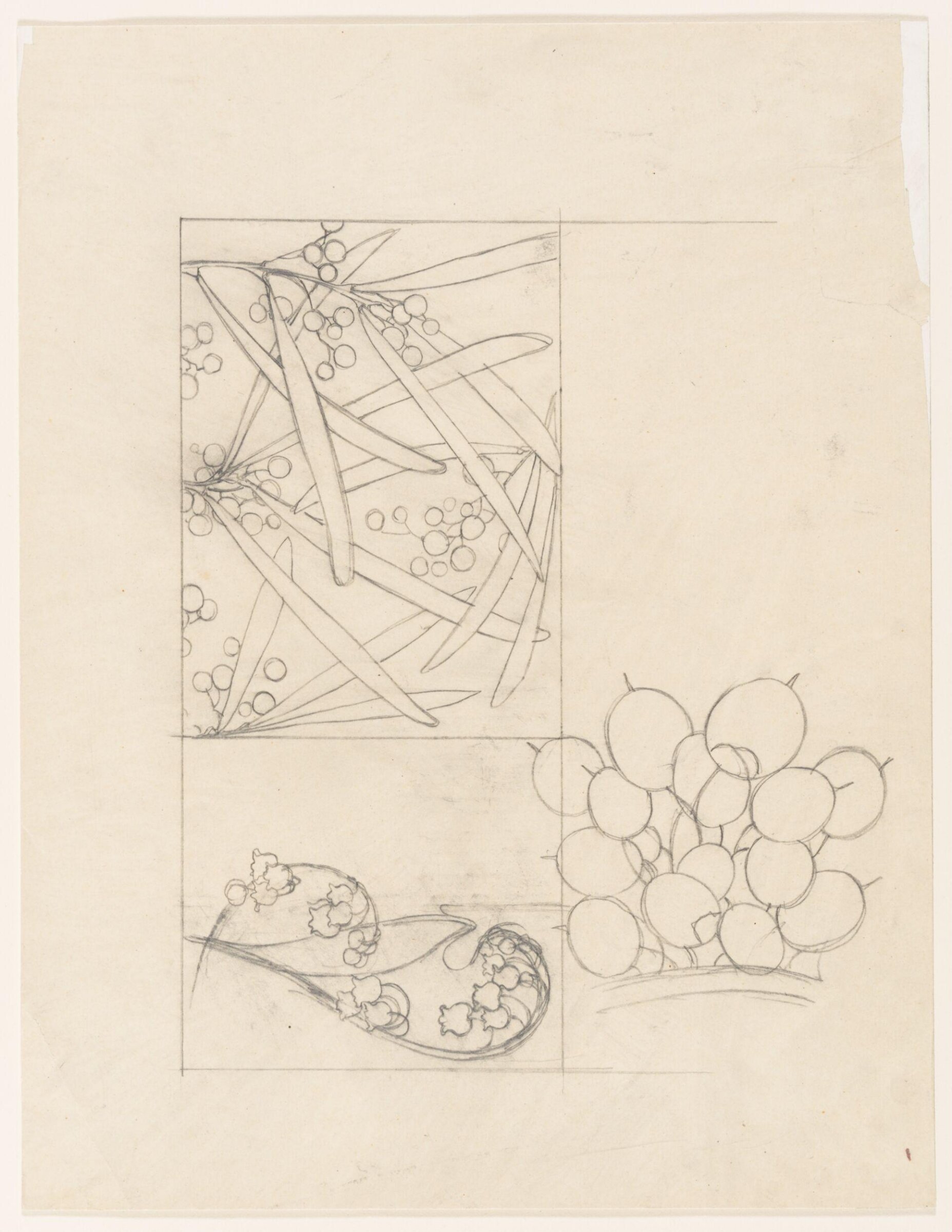Drawing, Alphonse Mucha, 1902-1903