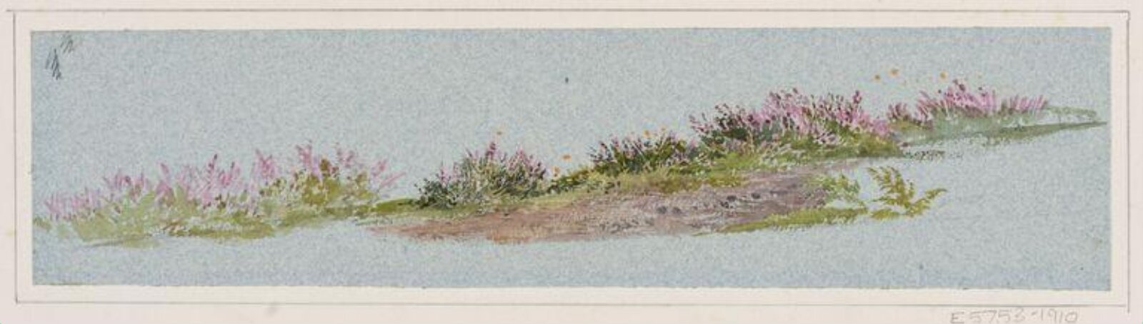 Watercolour