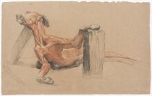 Ecorche drawing of a greyhound supported by planks thumbnail 1