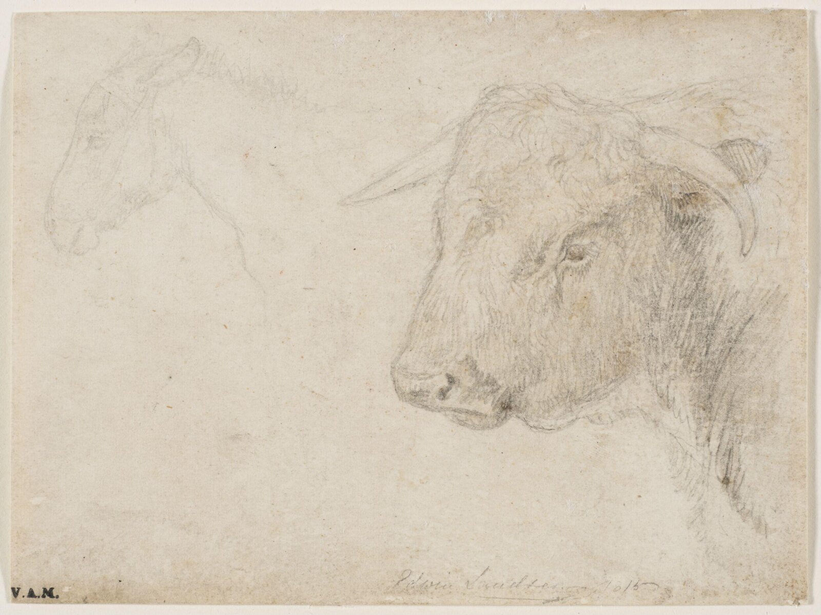 Drawing, Edwin Henry Landseer, 1815