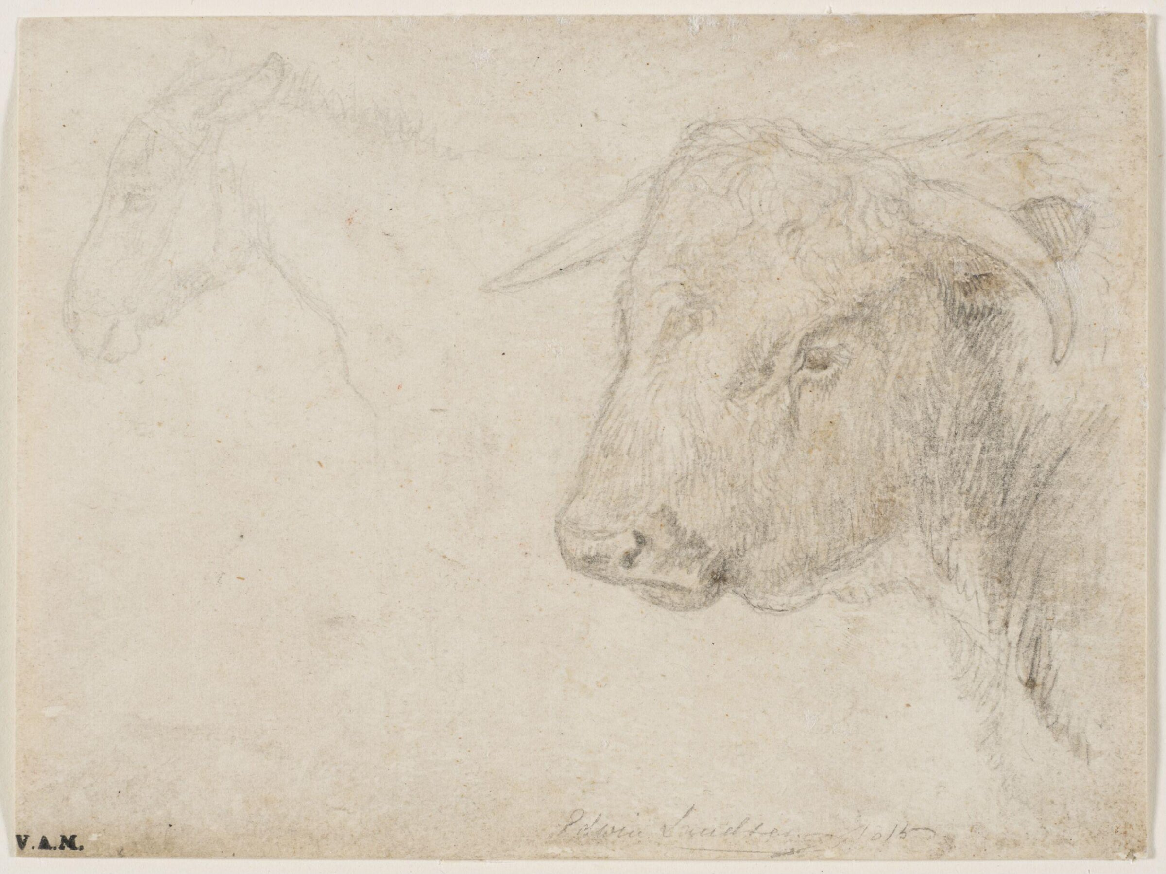 Drawing, Edwin Henry Landseer, 1815