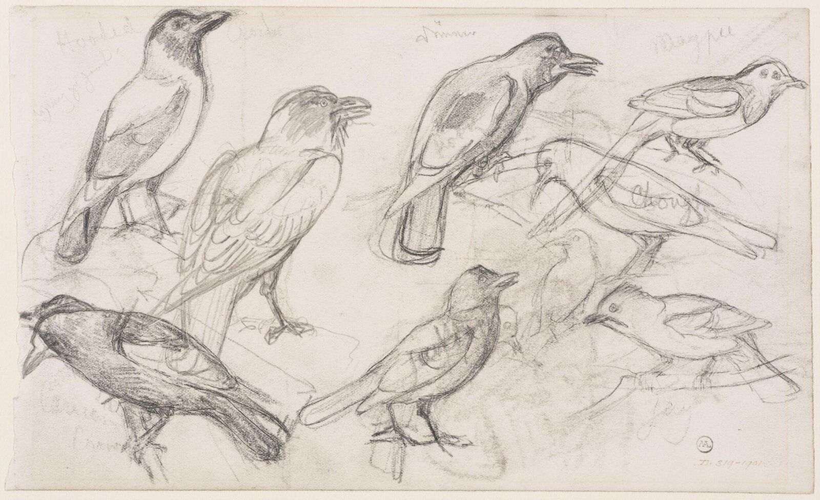 Drawing