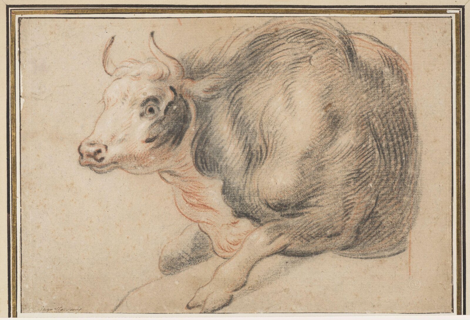 A Cow Lying Down, Jacob the elder Jordaens, 17th century