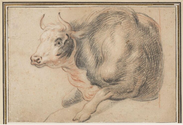 A Cow Lying Down top image