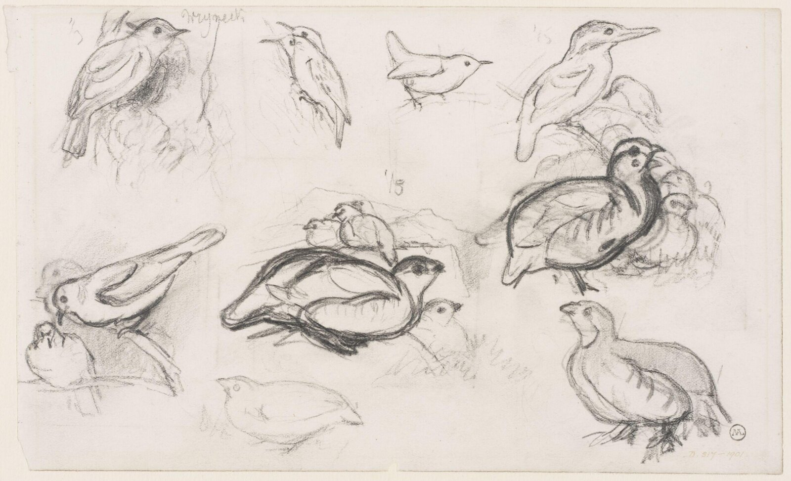 Drawing